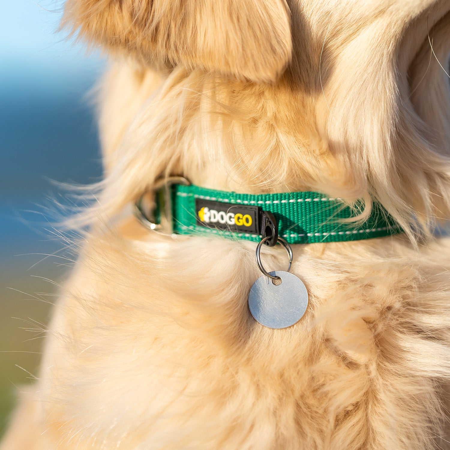 Detail photo of the tag silencer and damping logo on the DogGo Reflective Everyday Collar, in rainforest green.