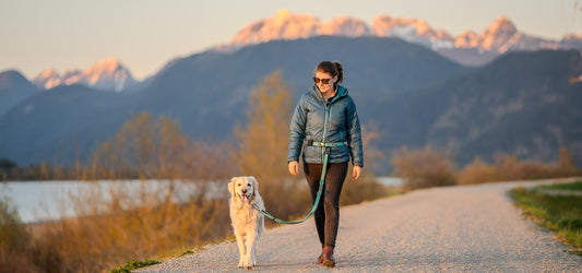 Hands-free walk, leash, adjustable leash, dog, hands-free belt