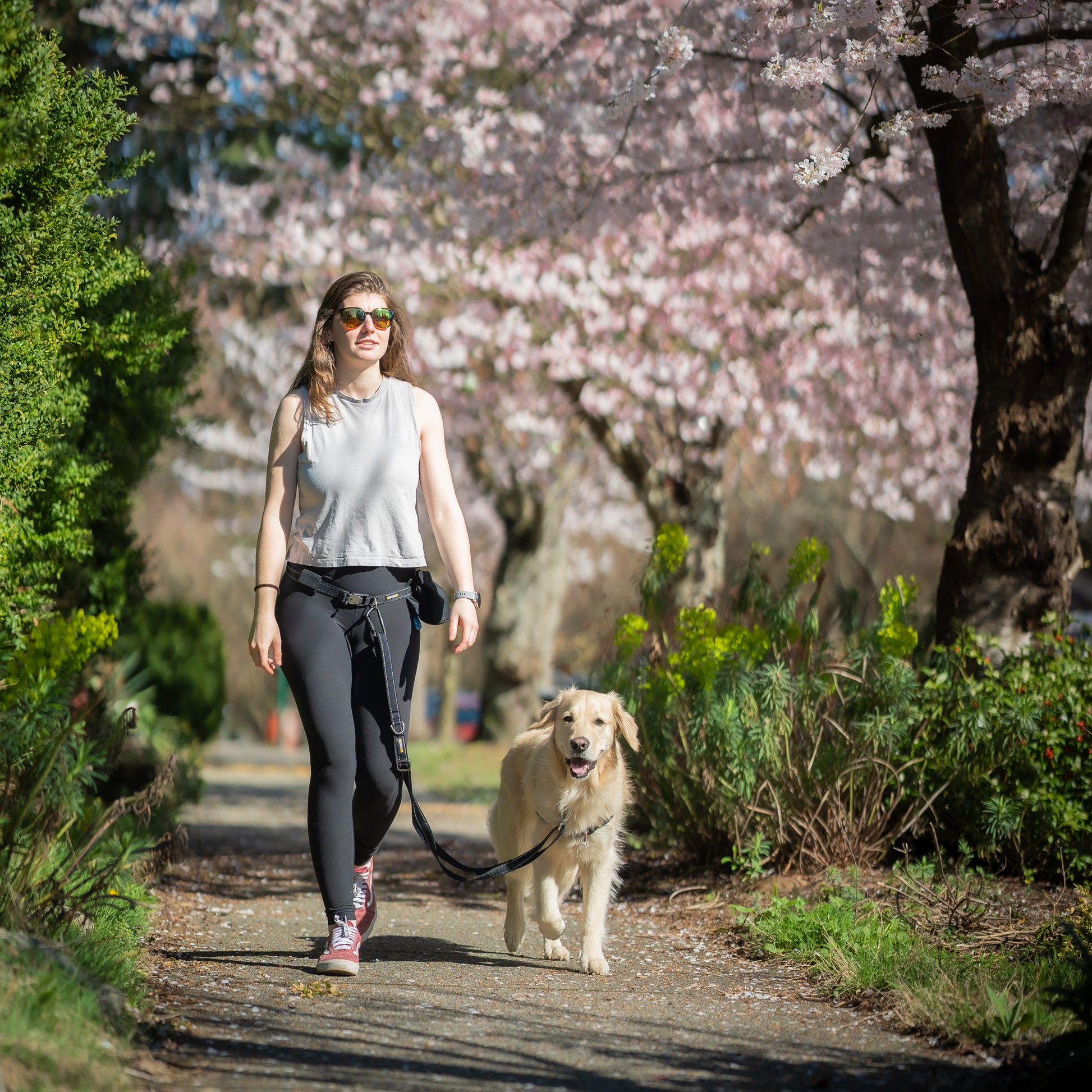 A woman walking by cherry blossoms with her dog hands-free with a DogGo Collar, Leash and Belt in obsidian black.