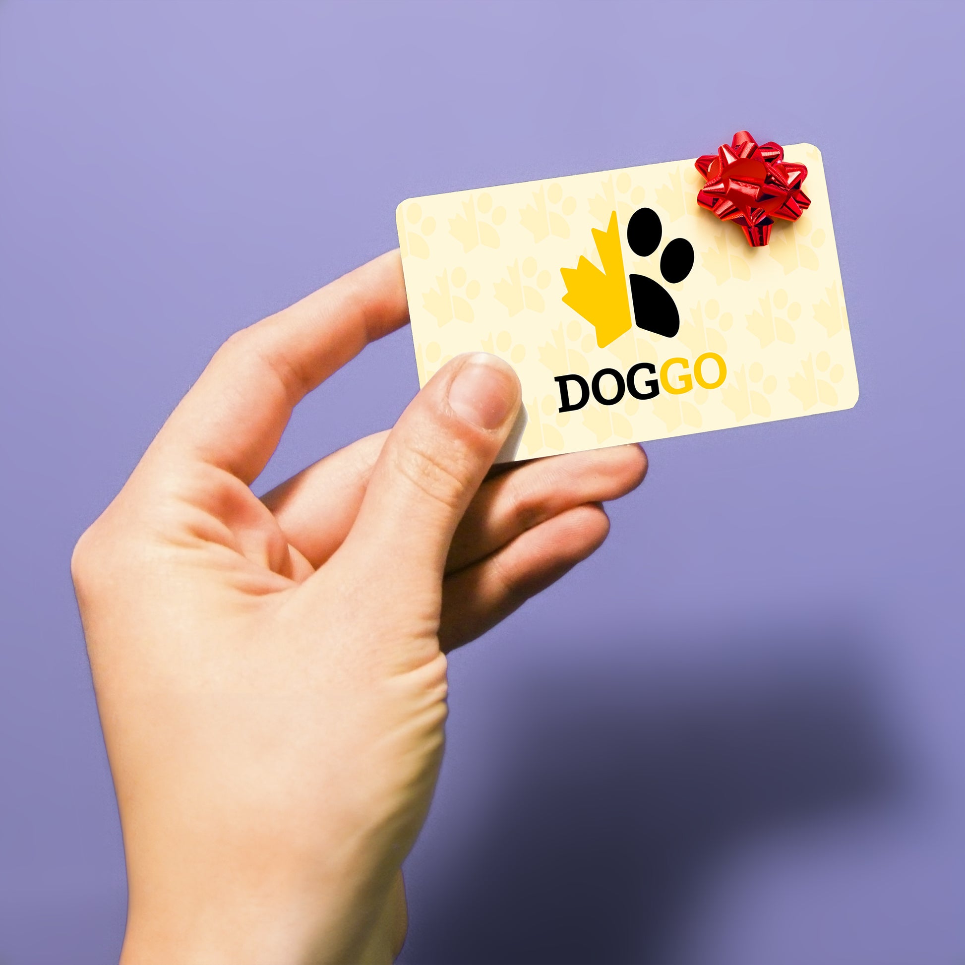 Someone holding a hypothetical DogGo Gift Card with a bow on it.