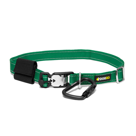 DogGo Hands Free dog Adventure Belt in rainforest green. BLT-GRN-0424