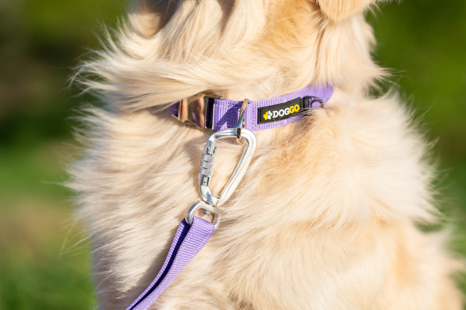 Detail photo of the automatically locking swivel carabiner on the DogGo Adjustable Padded Leash, in wild lavender.