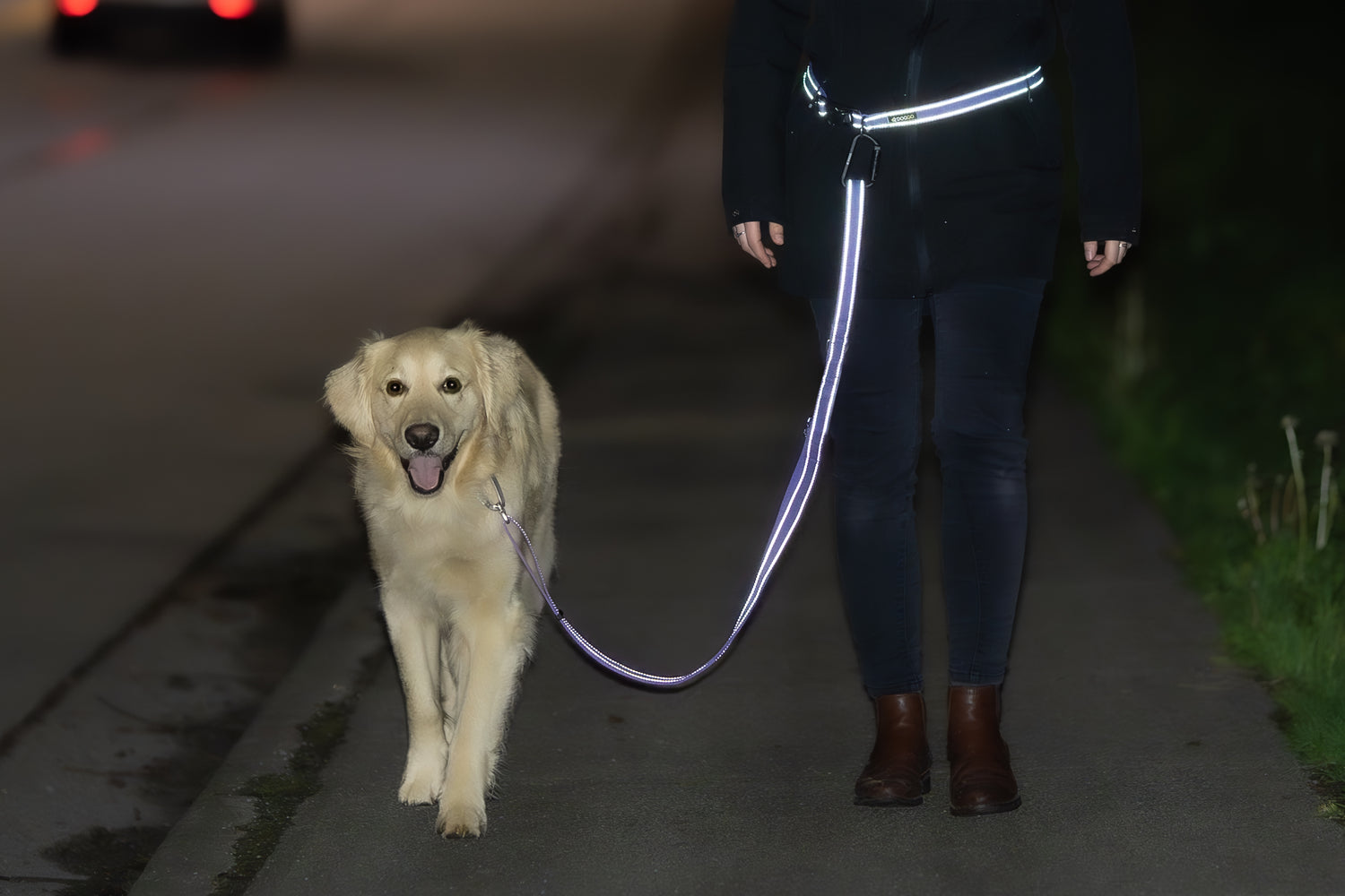 Detail photo of the reflective webbing working at night on the DogGo Hands-Free Adventure Belt and Padded Adjustable Leash.