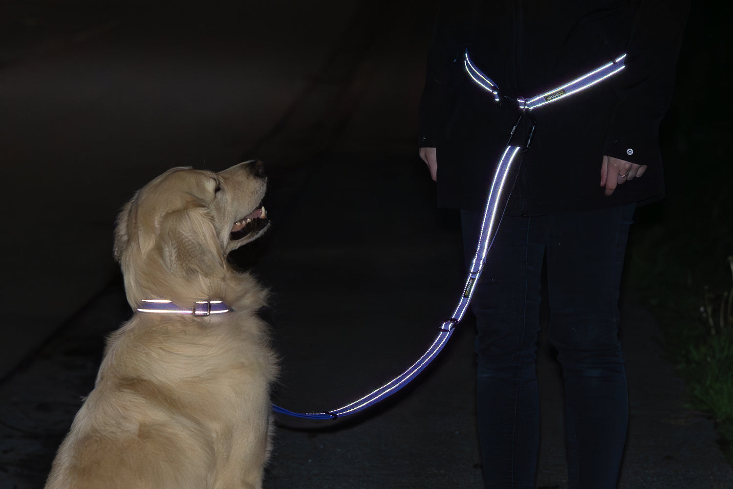 Detail photo of the reflective webbing working at night on the DogGo Reflective Everyday Collar.