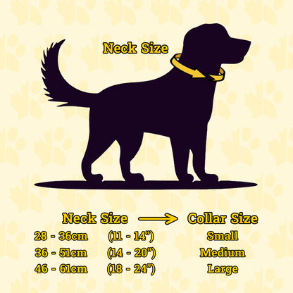 DogGo Reflective Everyday dog Collar sizing chart by neck size.